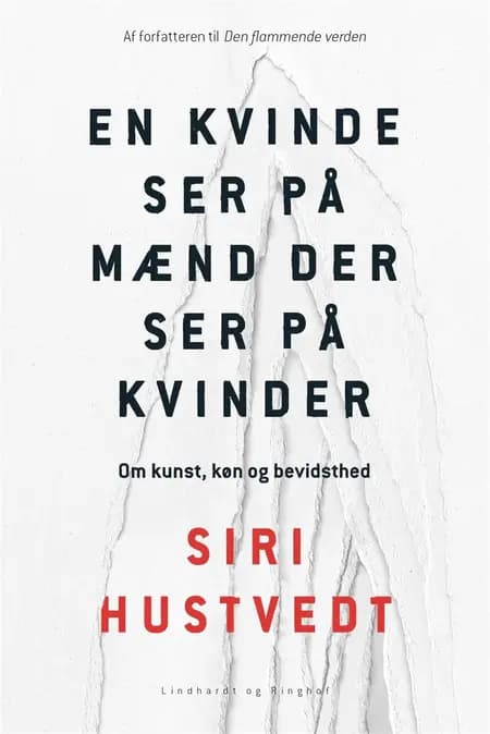 En kvinde ser på mænd som ser på kvinder af Siri Hustvedt
