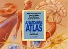 Anatomisk atlas