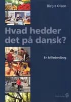 Hvad hedder det på dansk? af Birgit Olsen