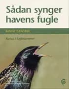 Sådan synger havens fugle