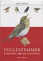 Fuglestemmer 1-3
