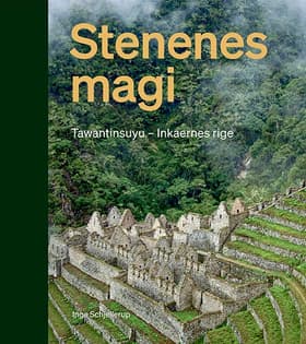 Stenenes magi af Inge Schjellerup