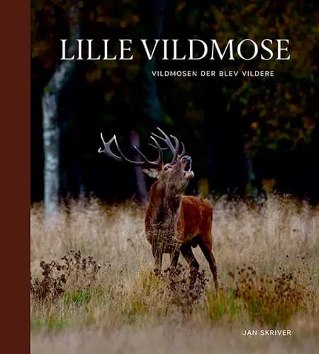 Lille Vildmose af Jan Skriver