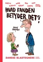 Hvad fanden betyder det? 