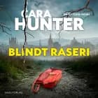 Blindt raseri