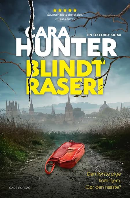 Blindt raseri af Cara Hunter