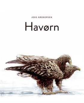 Havørn af Jens Gregersen