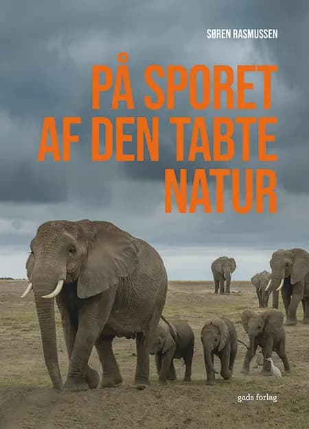 På sporet af den tabte natur af Søren Rasmussen