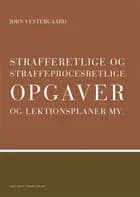 Strafferetlige og straffeprocesretlige opgaver og lektionsplaner, BB