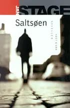 Saltsøen