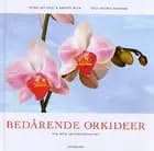 Bedårende orkideer fra alle verdenshjørner