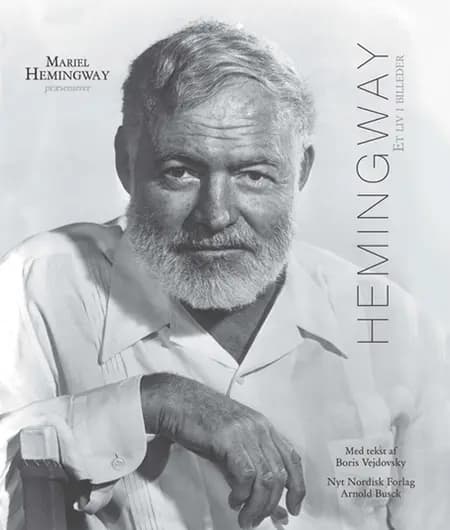 Hemingway af Boris Vejdovsky
