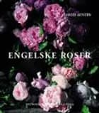 Engelske roser