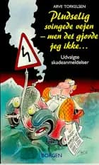 Pludselig svingede vejen - men det gjorde jeg ikke!