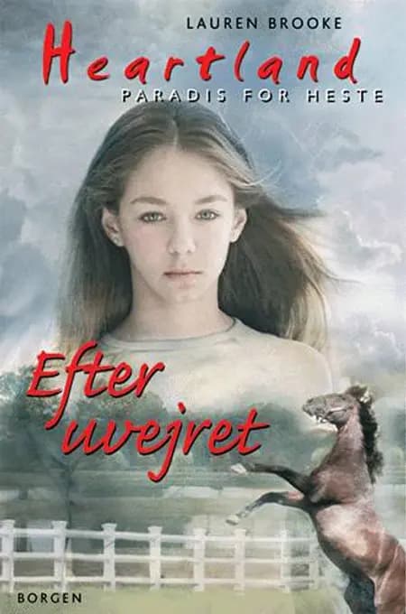 Efter uvejret af Lauren Brooke