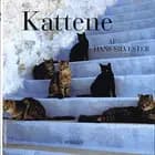 Kattene
