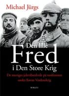 Den lille fred i den store krig
