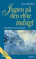 Jagten på den elvte indsigt af James Redfield