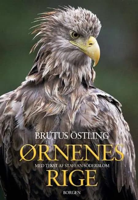 Ørnenes rige af Brutus Östling