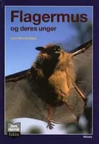 Flagermus og deres unger