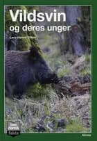Vildsvin og deres unger