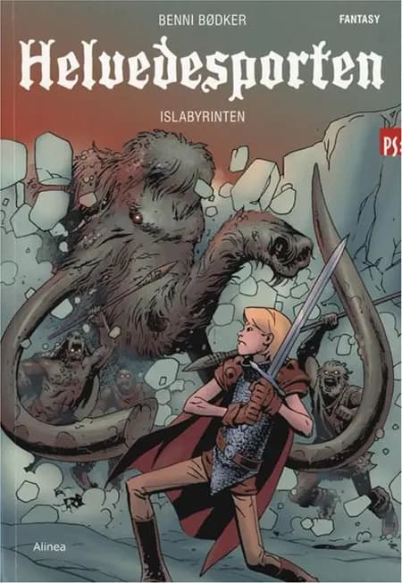 Islabyrinten af Benni Bødker