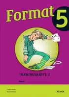 Format 5