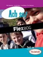Ach so! Teil 1 B, Elev
