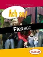 Ach so! Teil 2 B, Elev