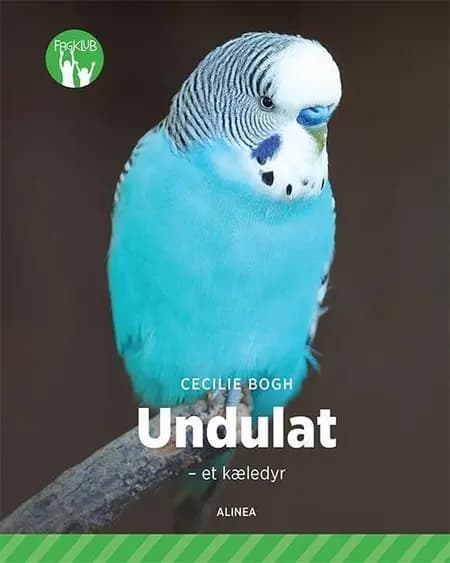 Undulat af Cecilie Bogh