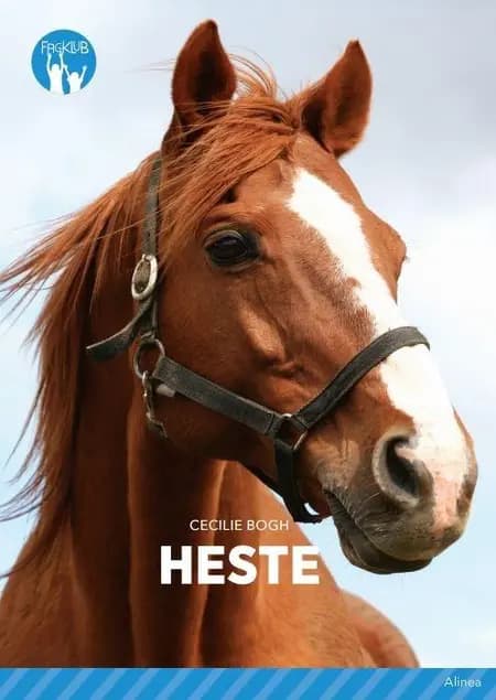 Heste af Cecilie Bogh