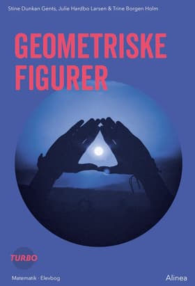 Turbo, Geometriske figurer af Trine Borgen Holm