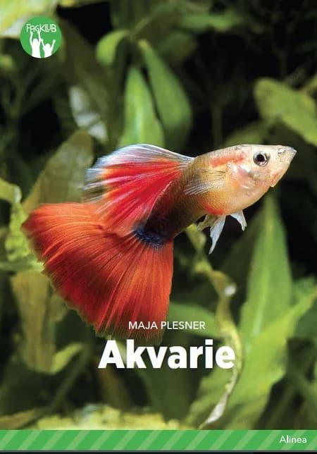 Akvarie af Maja Plesner
