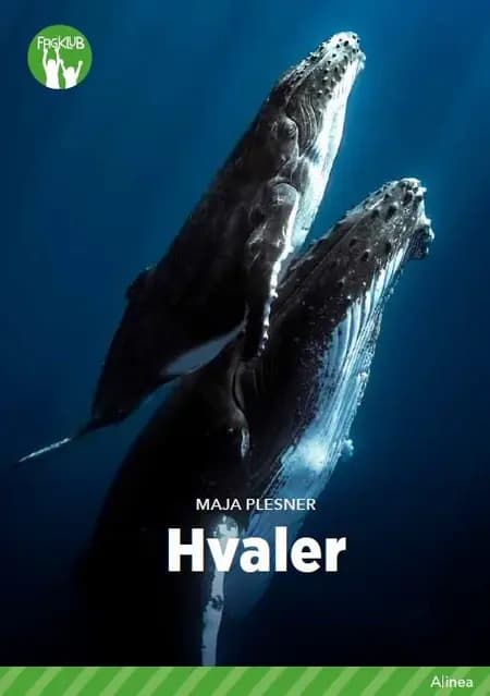 Hvaler af Maja Plesner