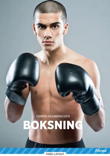 Boksning, Blå Fagklub af Søren Hemmingsen