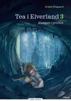 Tea i Elverland 3 - Kampen i grotten, Rød Læseklub af Anette Ellegaard