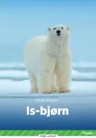 Isbjørn, Grøn Fagklub