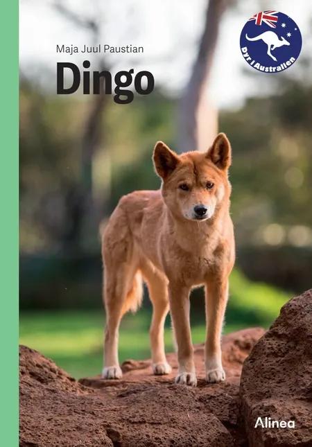 Dingo, Grøn Fagklub af Maja Juul Paustian