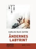 Åndernes labyrint