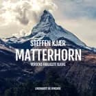 Matterhorn. Verdens farligste bjerg af Steffen Kjær