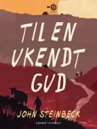 Til en ukendt gud