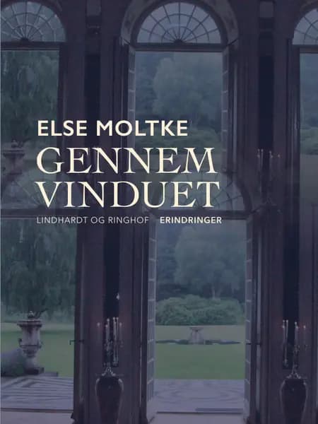 Gennem vinduet af Else Moltke