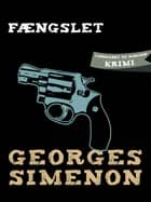 Fængslet af Georges Simenon