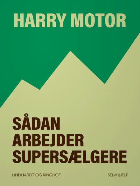 Sådan arbejder supersælgere af Harry Motor
