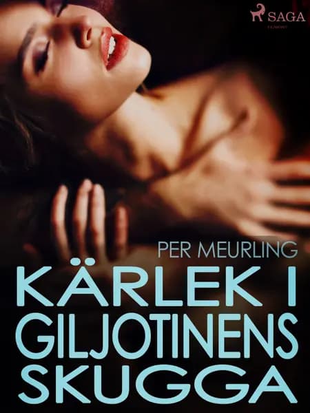 Kärlek i giljotinens skugga af Per Meurling