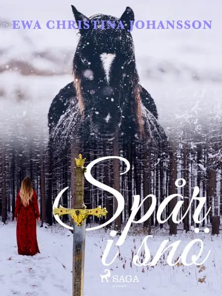 Spår i snö af Ewa Christina Johansson
