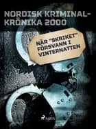 När ''Skriket'' försvann i vinternatten
