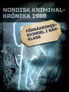 Försäkringssvindel i särklass 