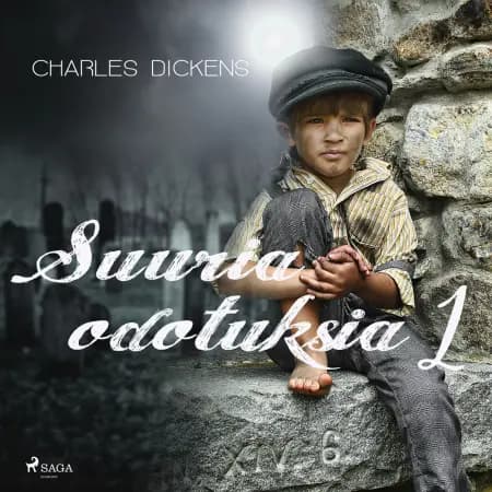 Suuria odotuksia 1 af Charles Dickens