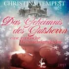 Das Geheimnis des Gutsherrn - eine erotische Weihnachtsgeschichte